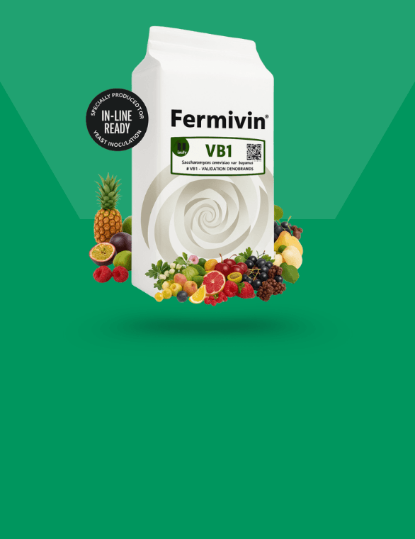 ILR Fermivin VB1